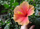 DSC08969