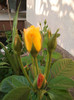 2012-06-29 19.27.18