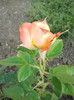 2012-06-29 19.27.44
