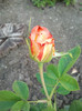 2012-06-29 19.27.50