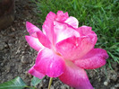2012-06-29 19.30.24