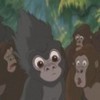 Tarzan_1319025596_1_1999