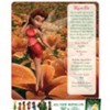 Tinker_Bell_1242294244_1_2008