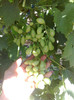 30062012 dunawska