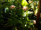 DSCN9280