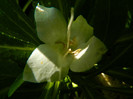 DSCN9283