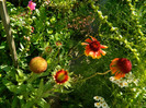 DSCN9289