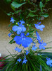DSCN9307