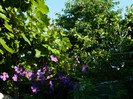 DSCN9311