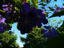 DSCN9314