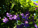 DSCN9315