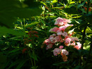 DSCN9322