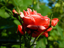 DSCN9330