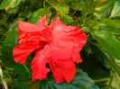 DSCN9341