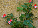 DSCN9346