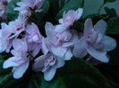 DSCN9351