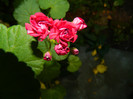 DSCN9358