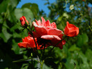 DSCN9373
