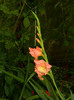 DSCN9391