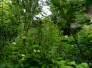 DSCN9398