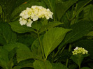 DSCN9421