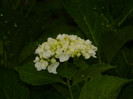 DSCN9422