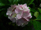 DSCN9427