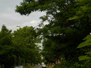 DSCN9433