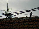 DSCN9438