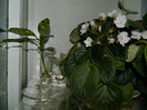 DSCN9456