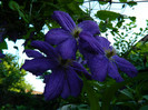 DSCN9468