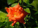 DSCN9481