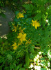 DSCN9487