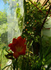 DSCN9504