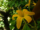 DSCN9507