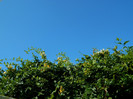 DSCN9512