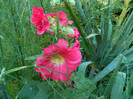 DSCN9547