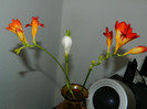 DSCN9550