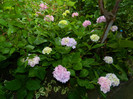 DSCN9685
