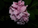DSCN9687