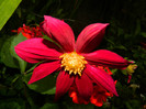 DSCN9690