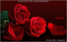 trandafiri-rosii-pentru-mioaramiha-la-multi-ani_ec5c62be8554fd