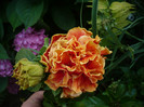 P1150276