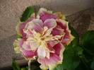 P1150283