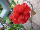 P1150286