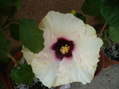 P1150290