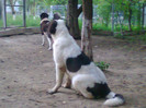 Photo0806