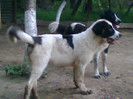 Photo0817