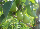 DSCN1561