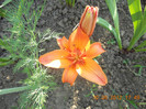 DSCN1557